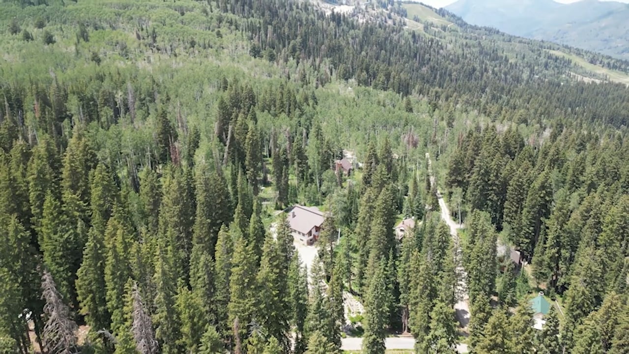 Ultimate Ski Chalet in Brighton