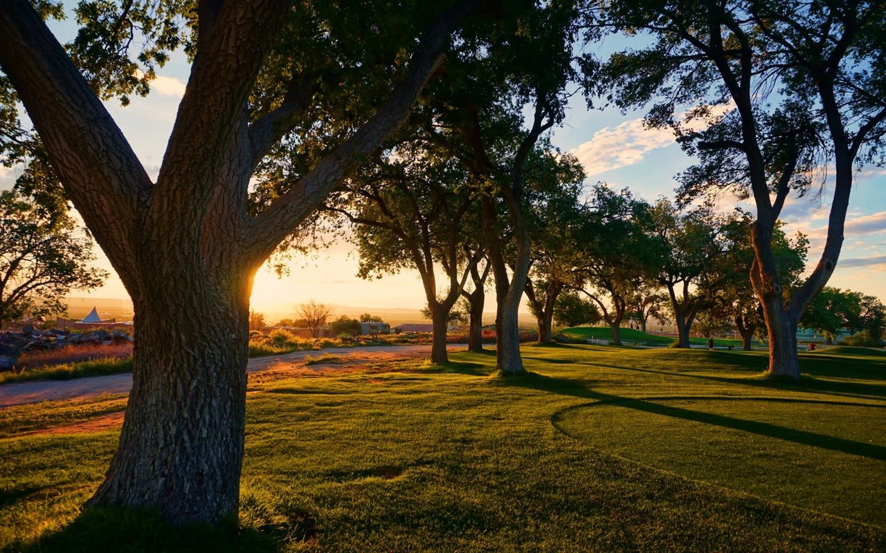 Sustainable Upgrades That Boost ROI (Without Breaking the Bank)