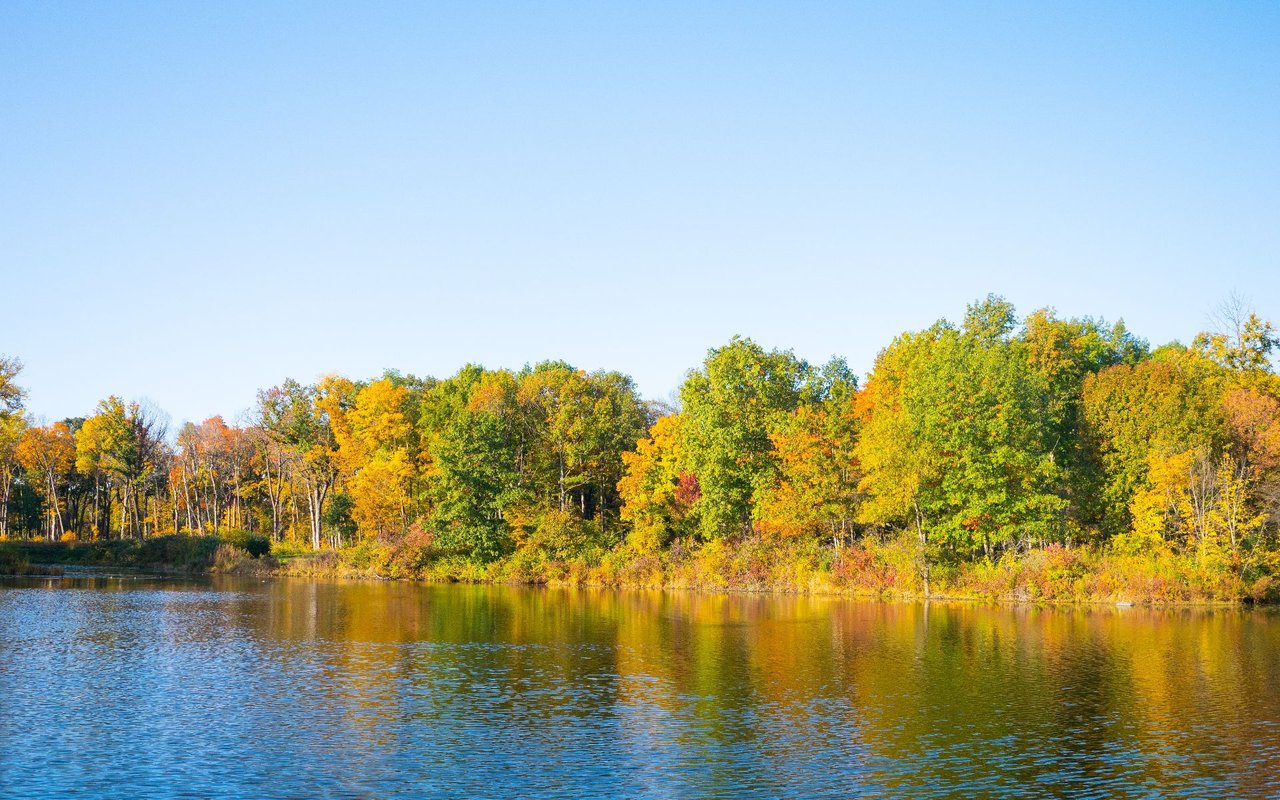 Lake In The Hills
