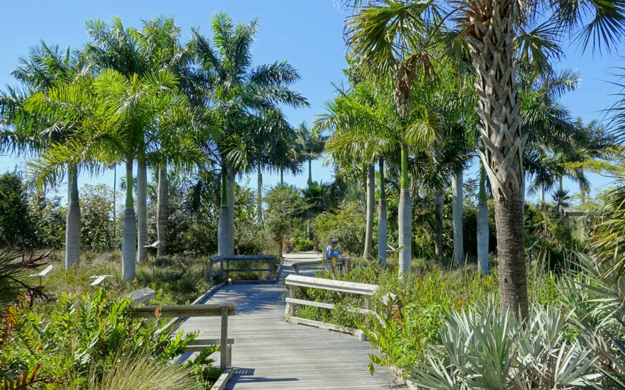 Things to Do in Naples, FL
