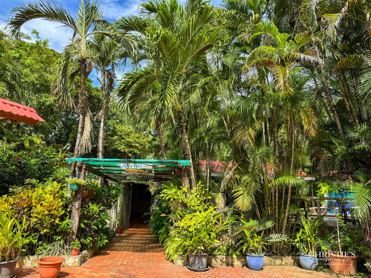 Sueño Del Mar | A Beachfront Estate on Baker’s Beach, Playa Guiones, Nosara