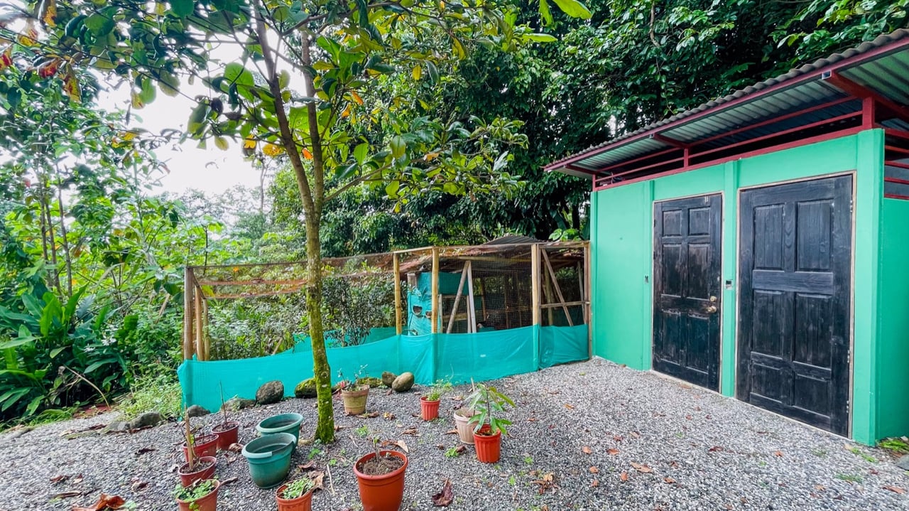 Two Homes on 1.55 Acres with Ocean & Mountain Views – Plus Room to Build!