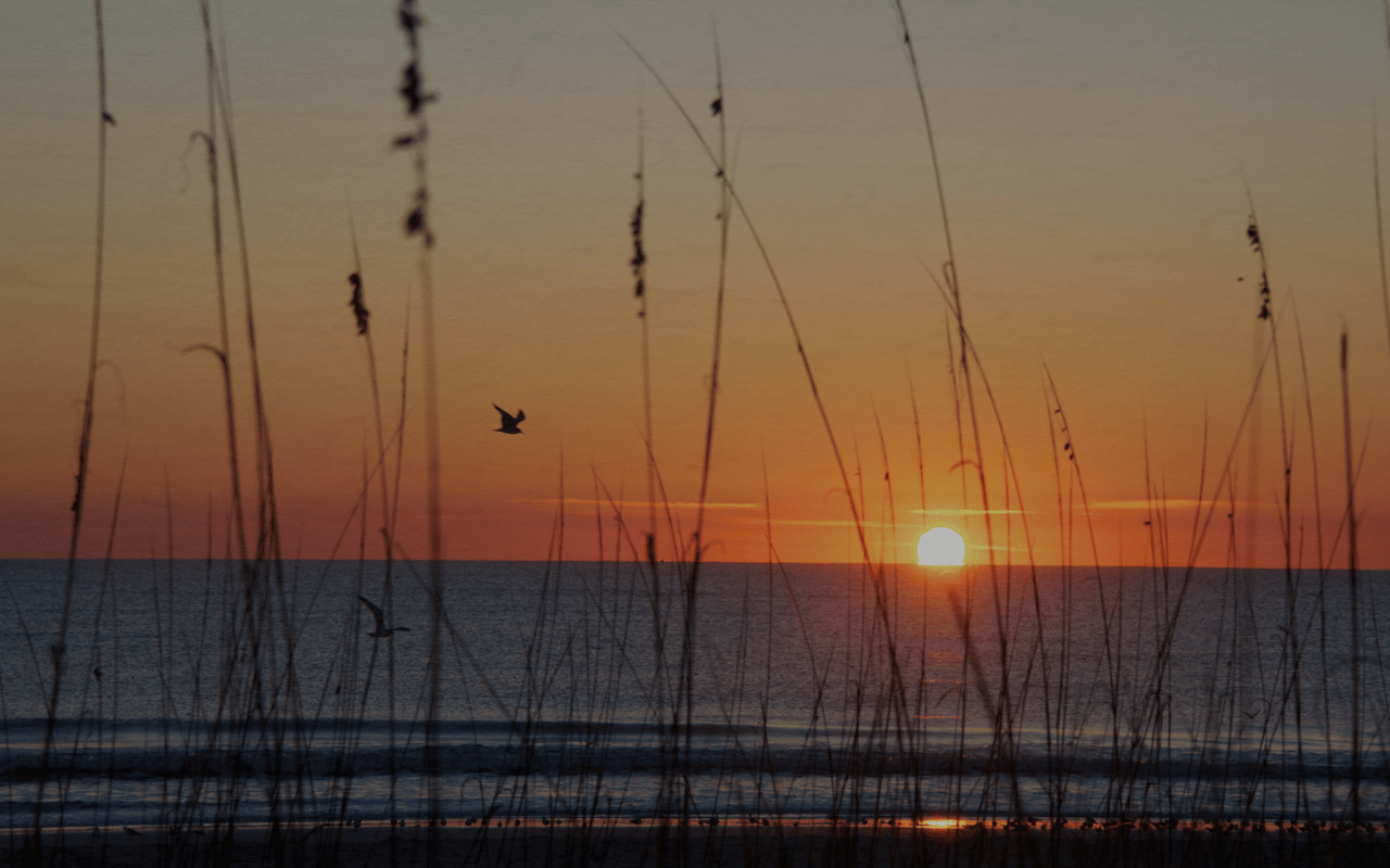 Nassau County Homes For Sale