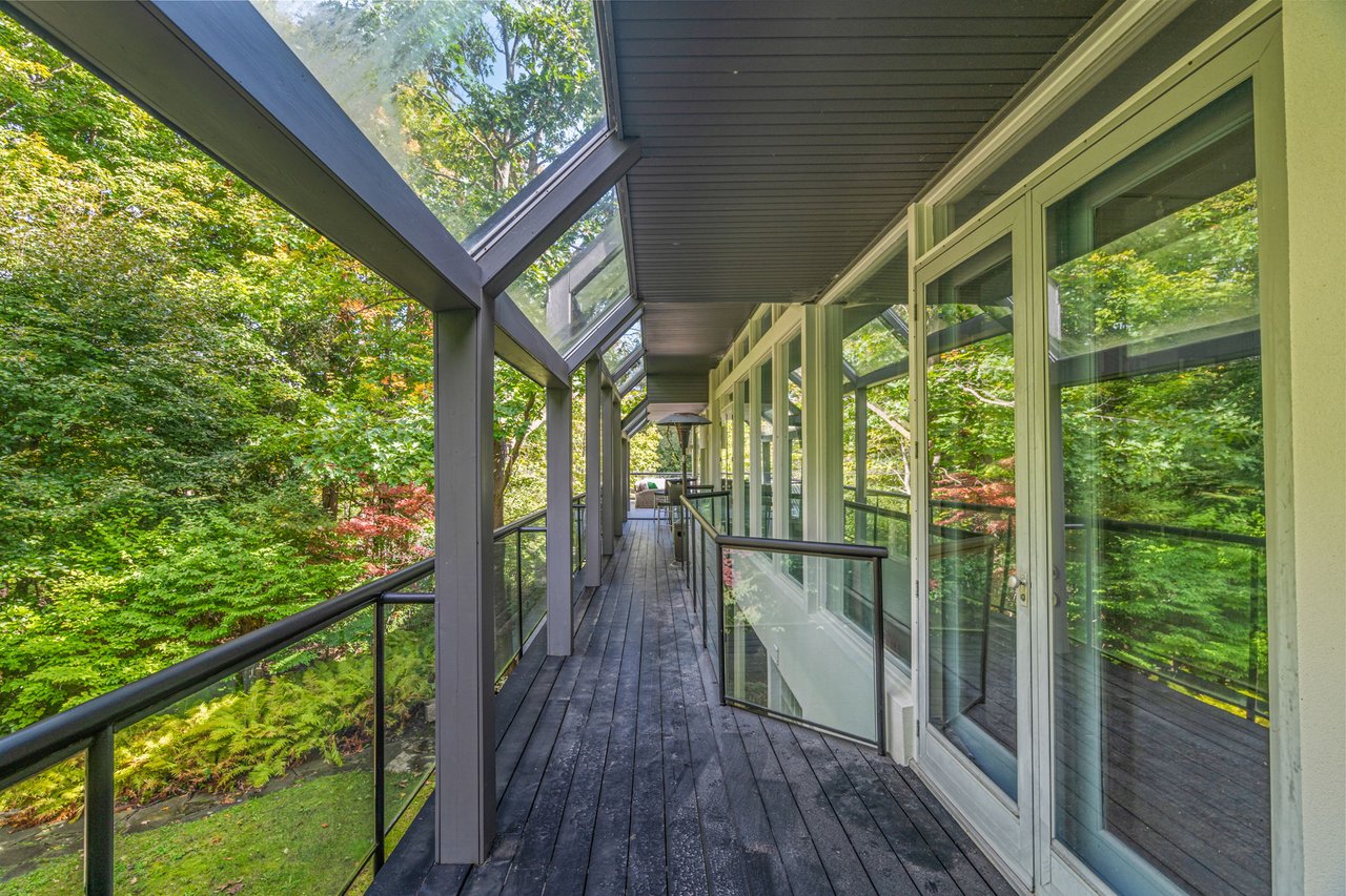 Extraordinary Forest Lot