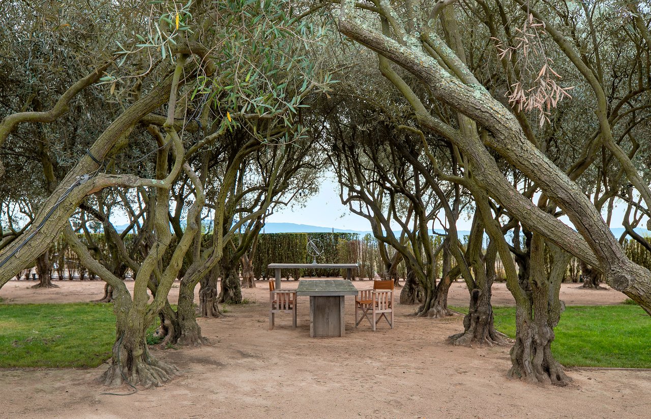 Rancho la Zaca