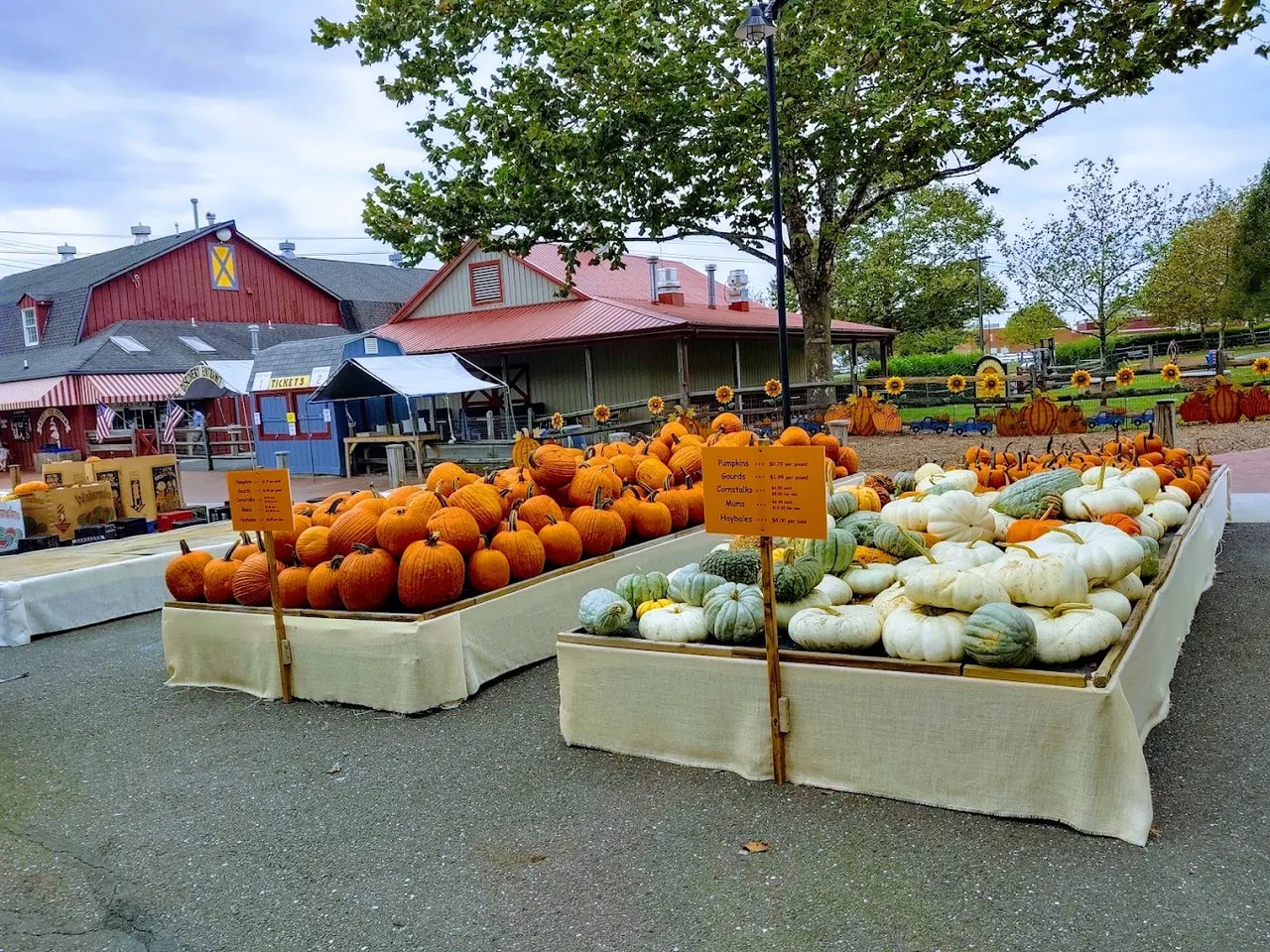 South Jersey Fall Bucket List