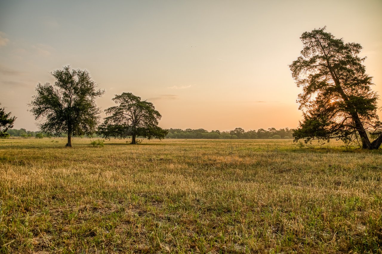 Revival Ranch TX