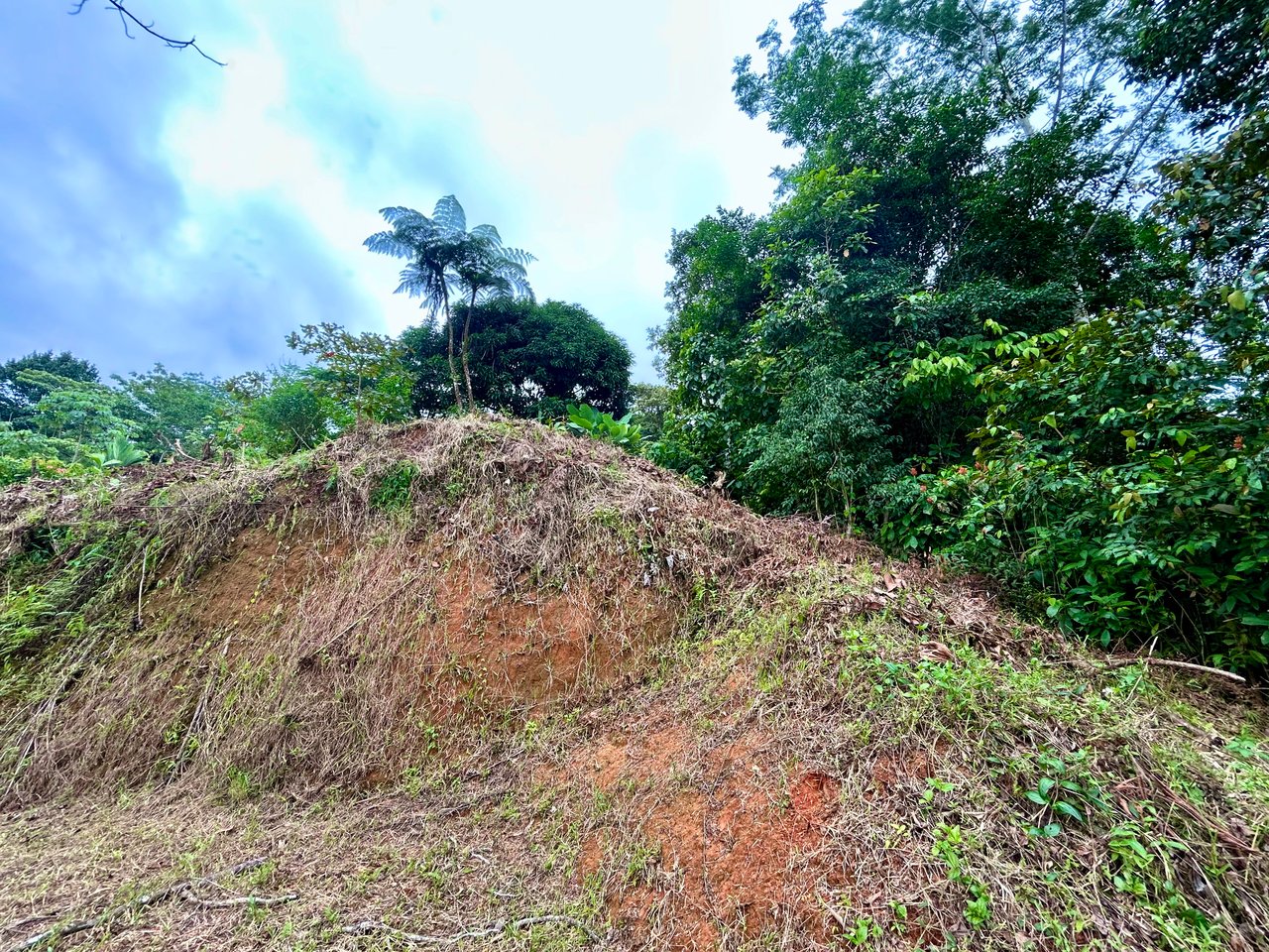 Beautiful Lot in Phase 9 Ojochal, Gated Communuity - NOW WITH LEGAL WATER