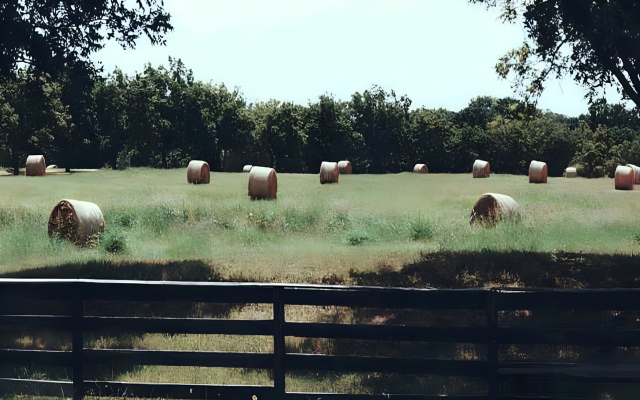 Carter Ranch