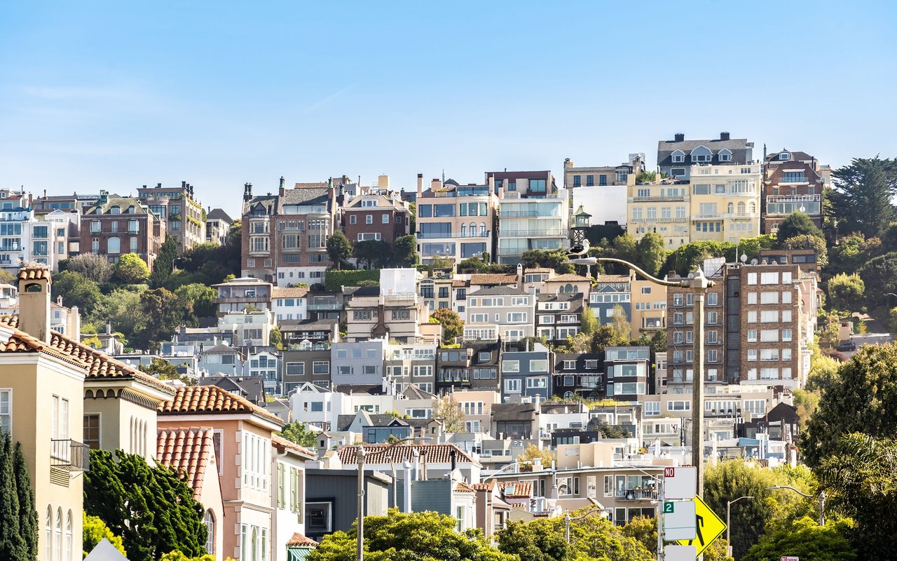 Cow Hollow