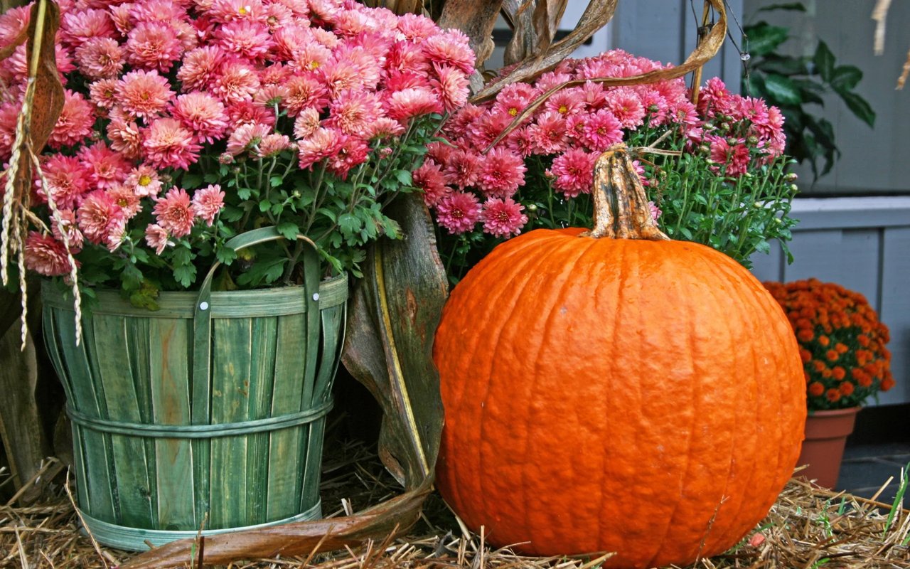 Fall Preview- 2 Luxury Home Tours, Sat., Sept. 16, 2017