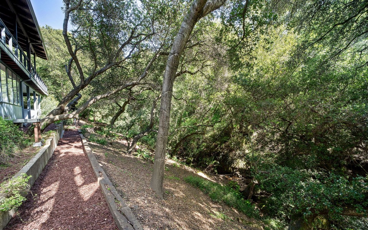 2385 Scout Rd
