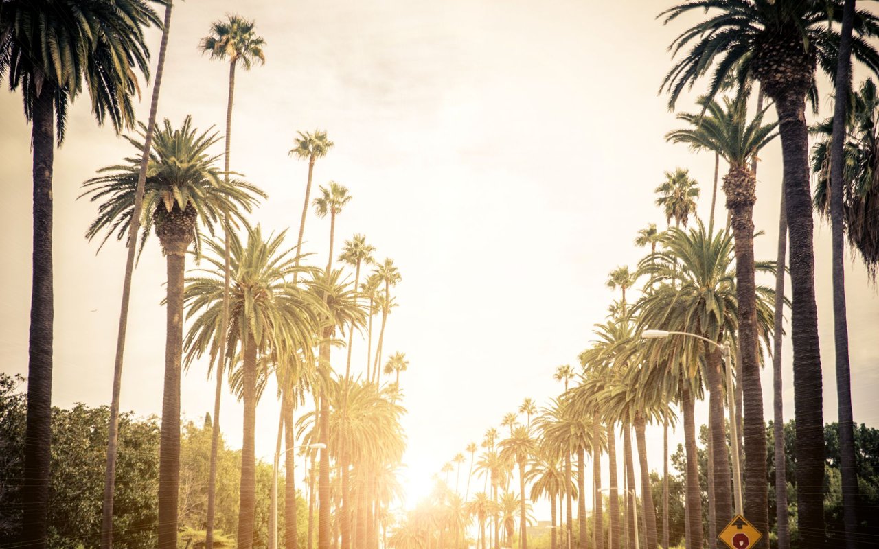 Sunset Hills