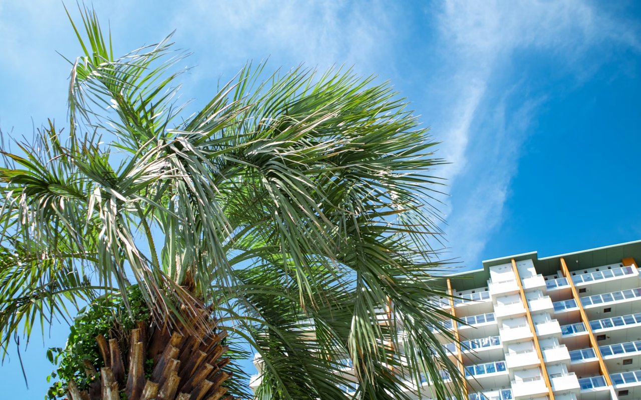 Investing in Sandestin Real Estate? 5 Things to Know