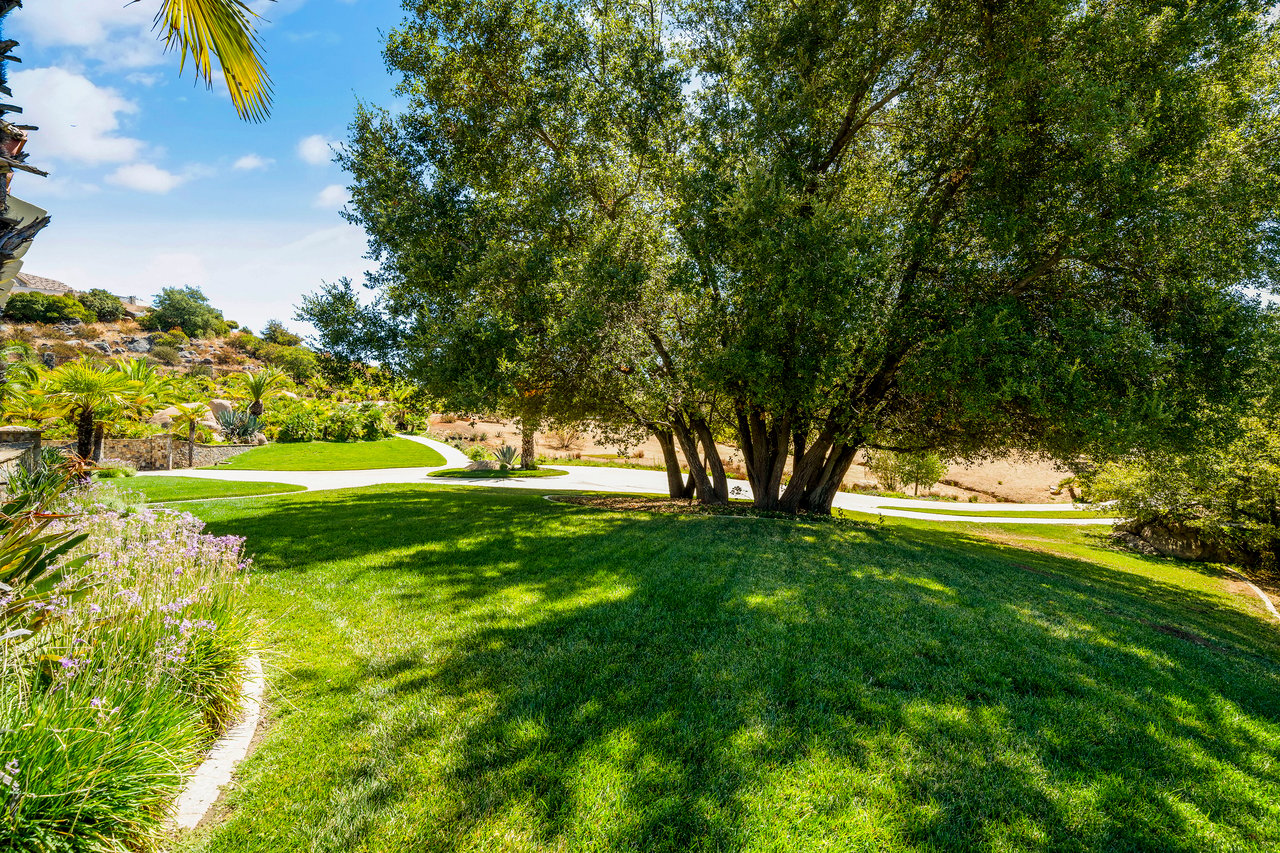 41290 Avenida Delores