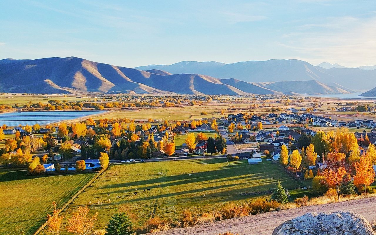 Heber