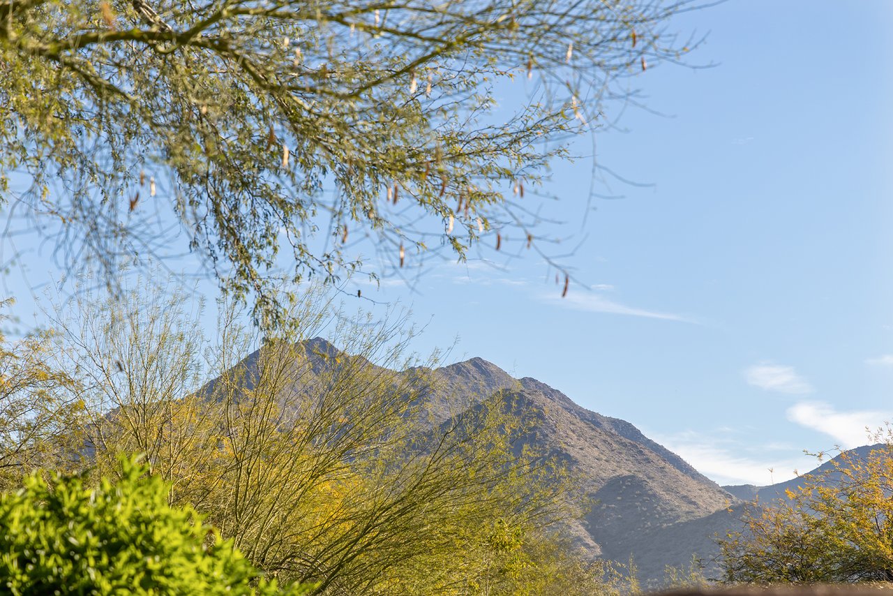 9778 E DESERT JEWEL Drive