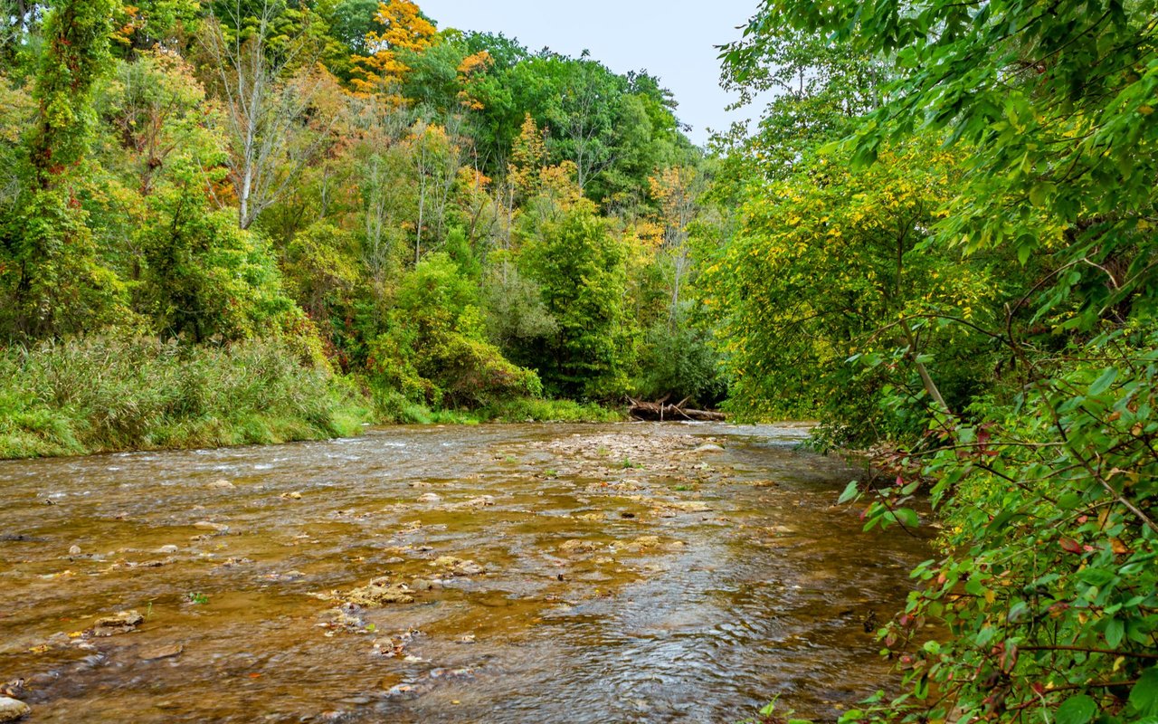 Bronte Creek