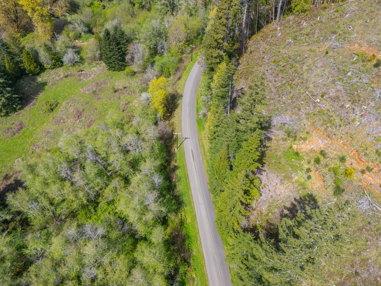Nelson Mountain Meadows