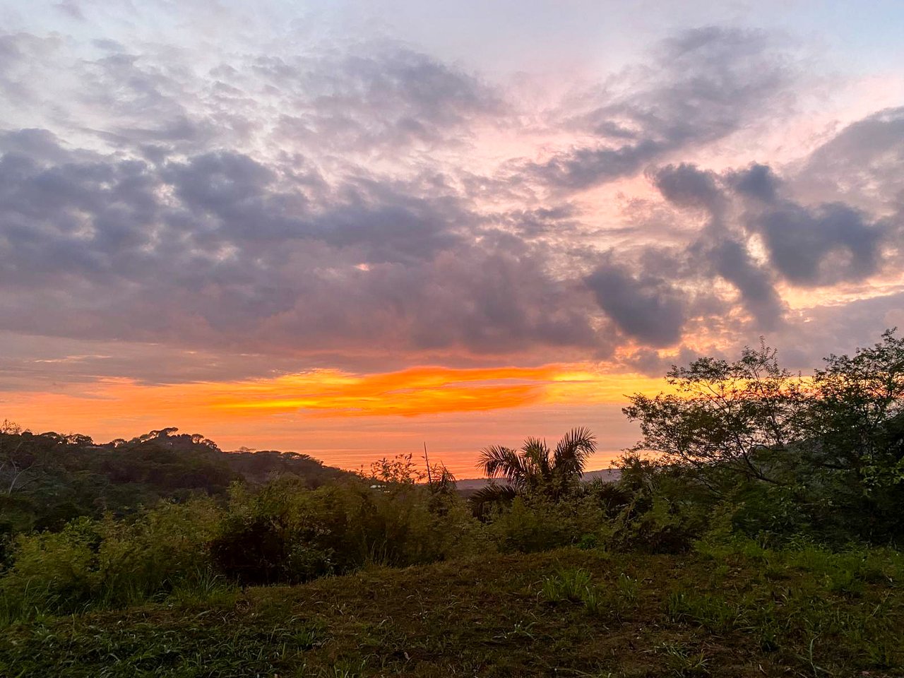 3.6 Acre Ocean View, Near the Beach & Cool Mountain Elevation