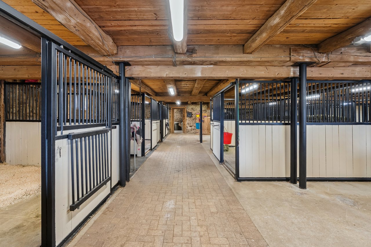 Extraordinary Equestrian Estate