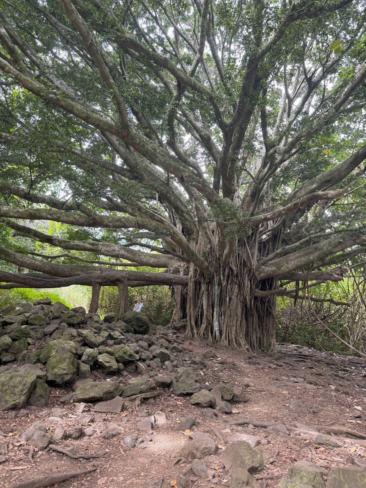 Hiking the Pipiwai Trail in Hana