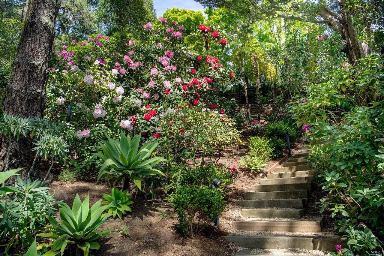 106 Mount Tiburon Rd