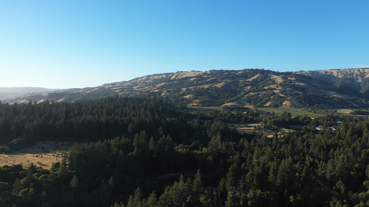 The Earth Program - Redwood Forest Restoration