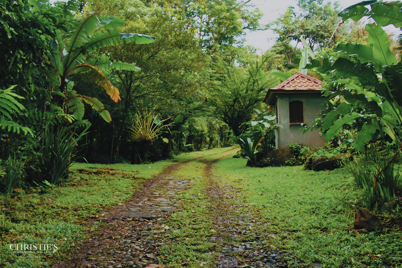 Finca Isla Rainforest Retreat – A Rare Income-Producing Paradise