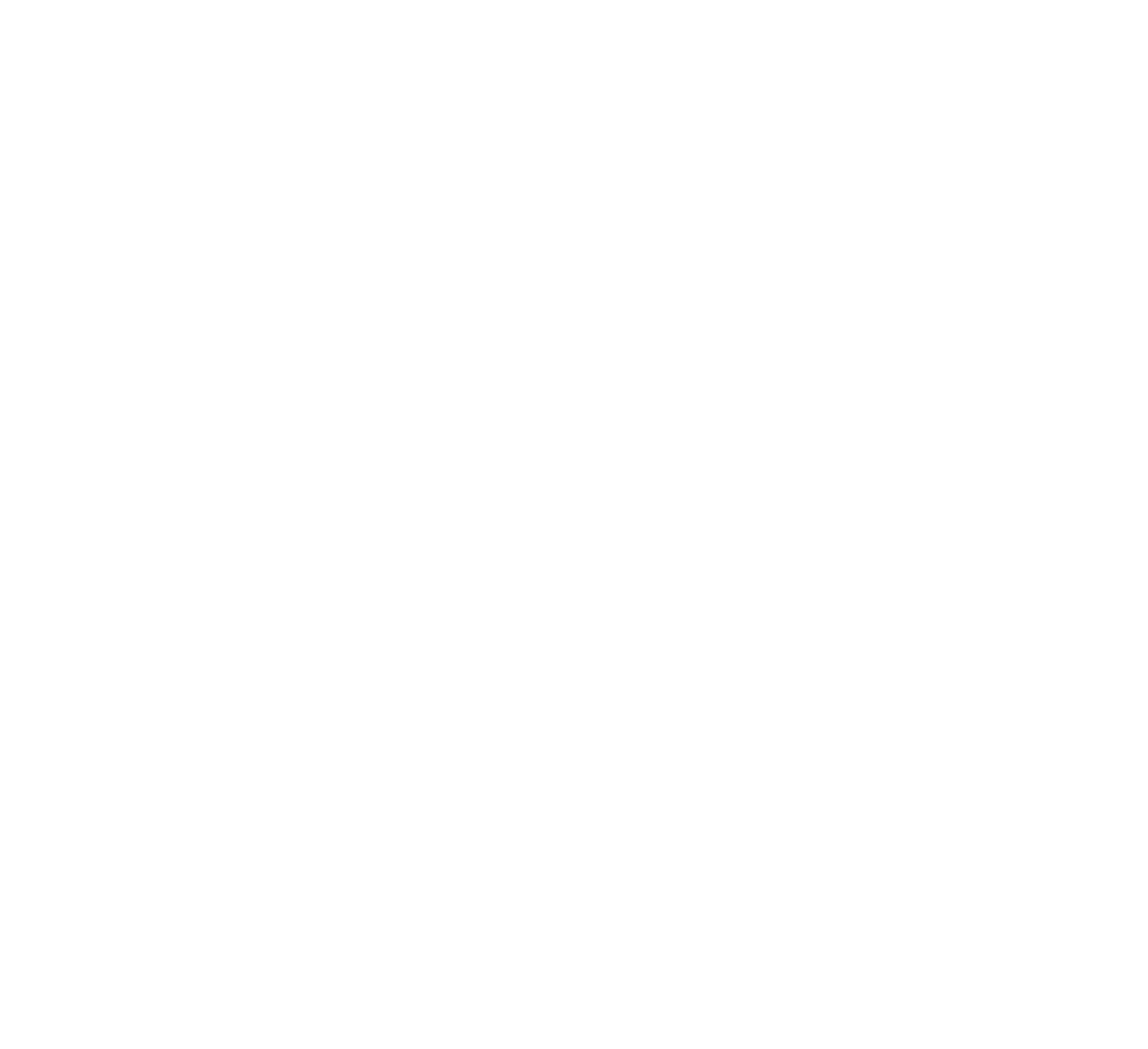 Light Logo