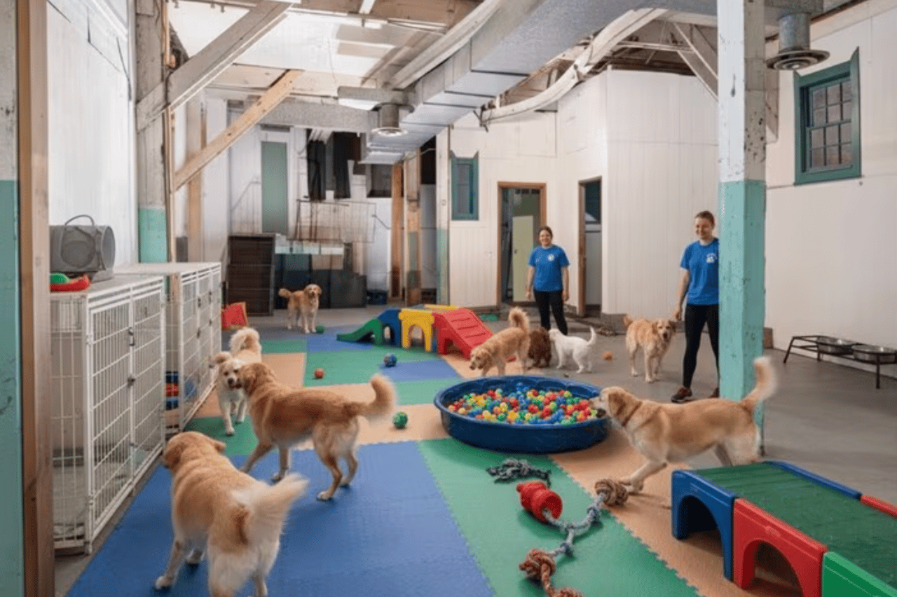 13-22 Jackson Avenue