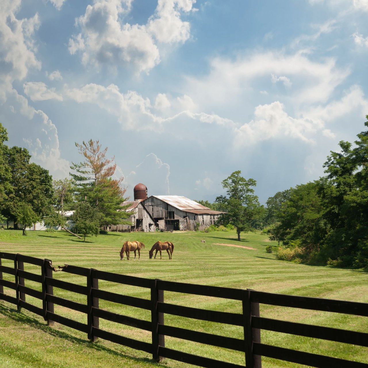 Farmland
