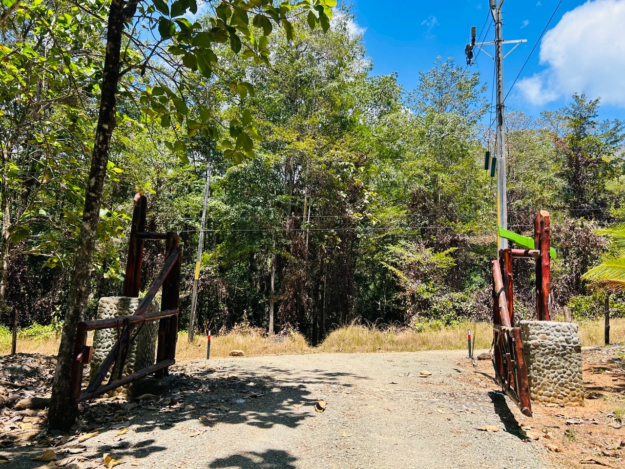 Prime 1.24-Acre Land in Matapalo / San Andrés – Ready to Build