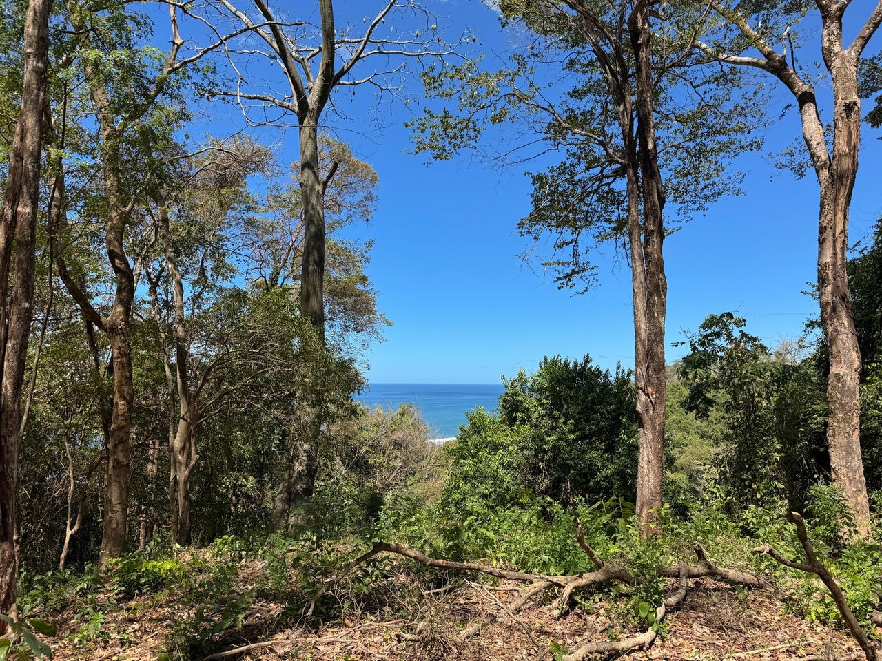 Refined Ocean View Development Parcel, Santa Teresa, Puntarenas