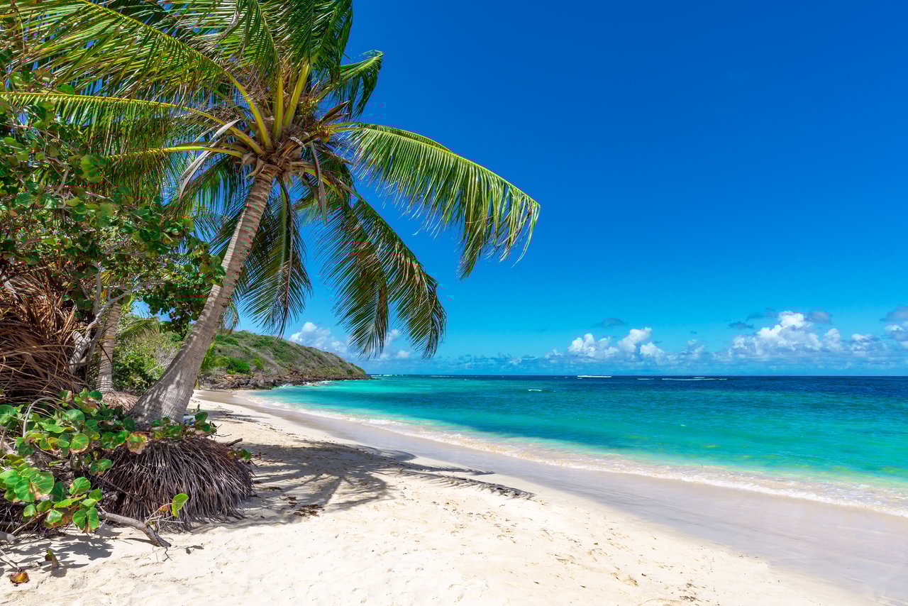 Guide to Puerto Rico Act 60 Tax Incentives cover