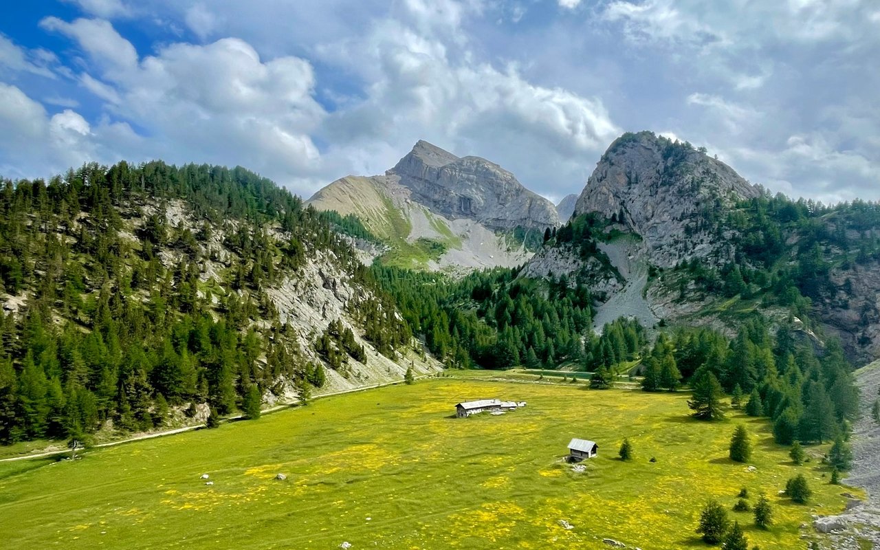 Sinclair Meadows