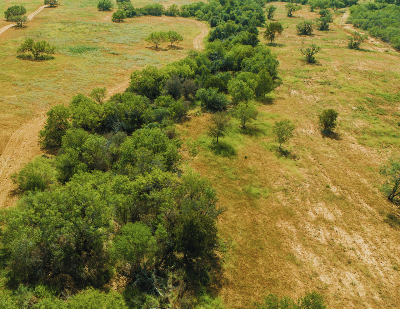 Goose Creek Ranch | 37.45± Acres | Atascosa County