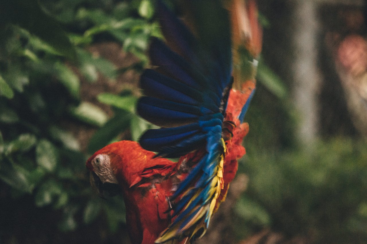  Punta Sabana & Mar Serena