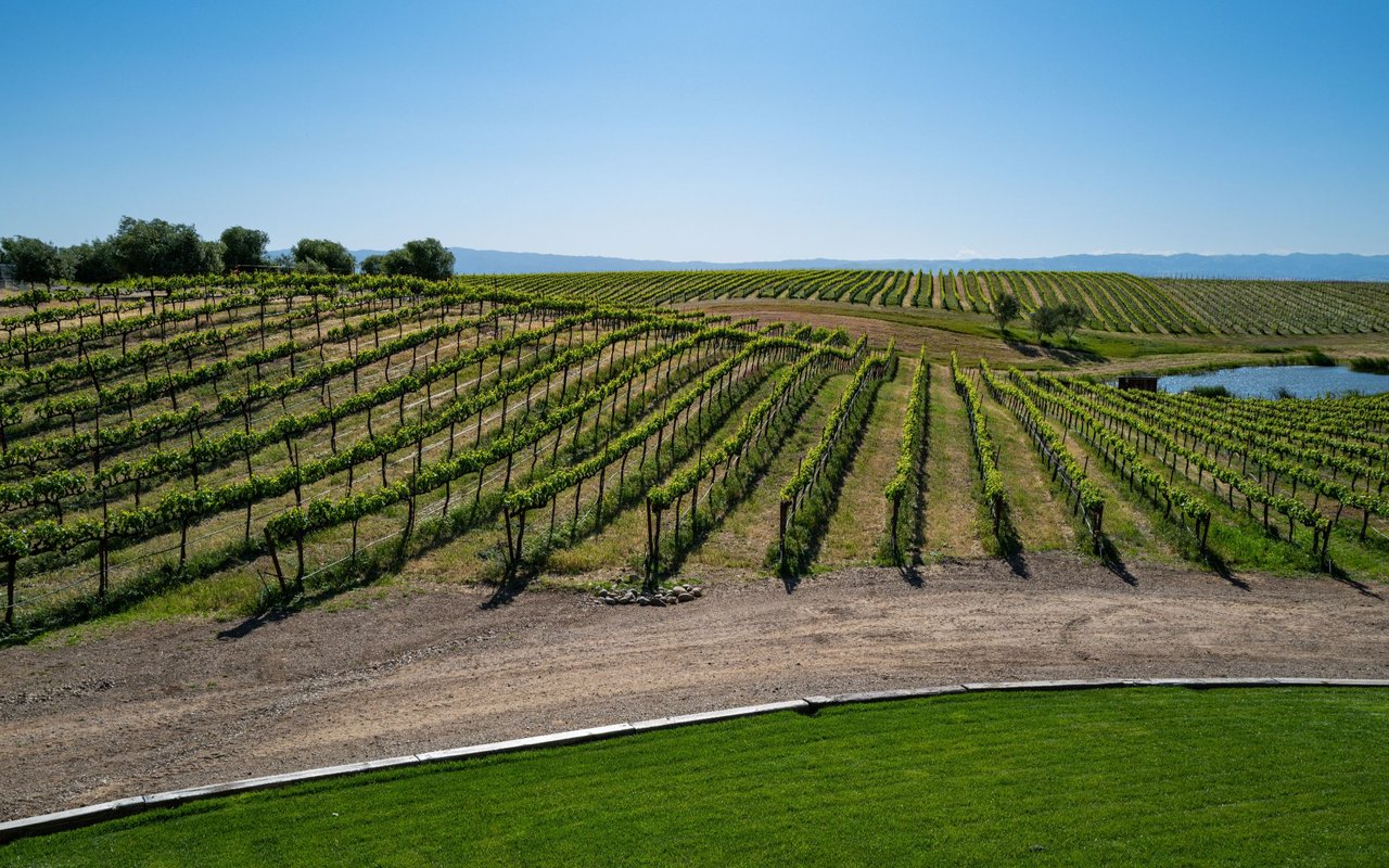 Yolo County