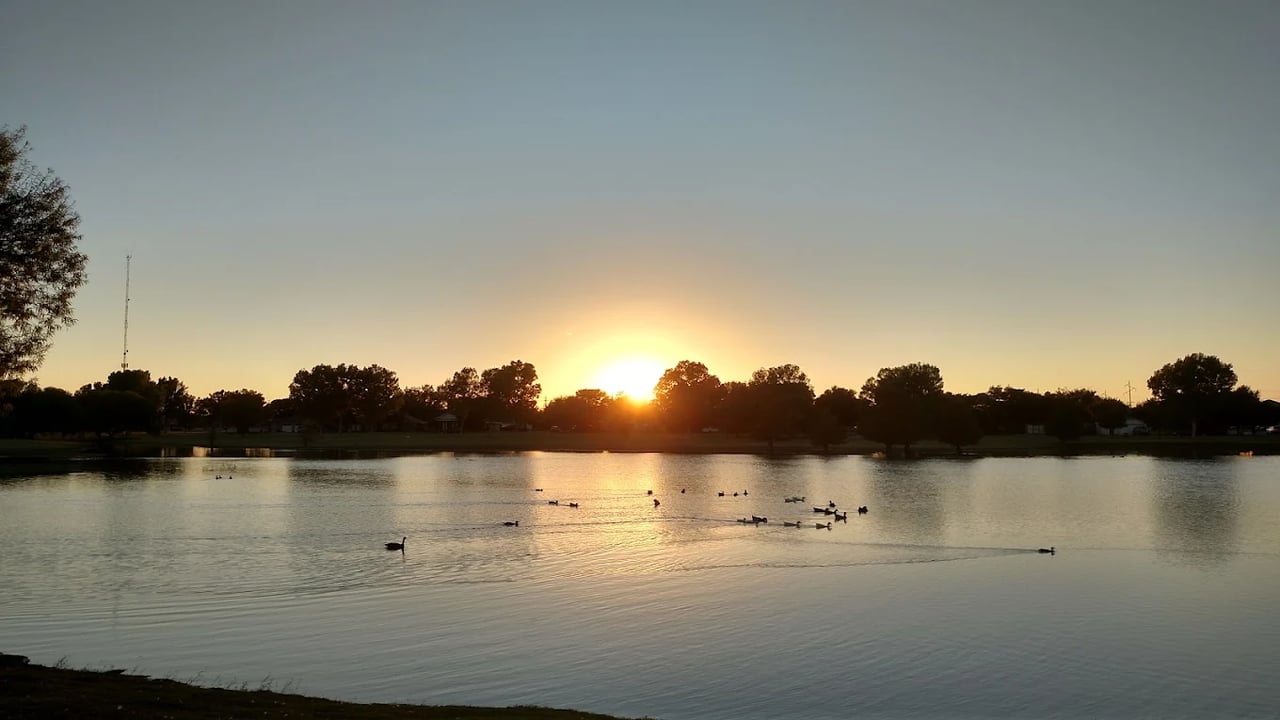 Lake at sunset with ducks on the water and trees silhouetted along the shore.