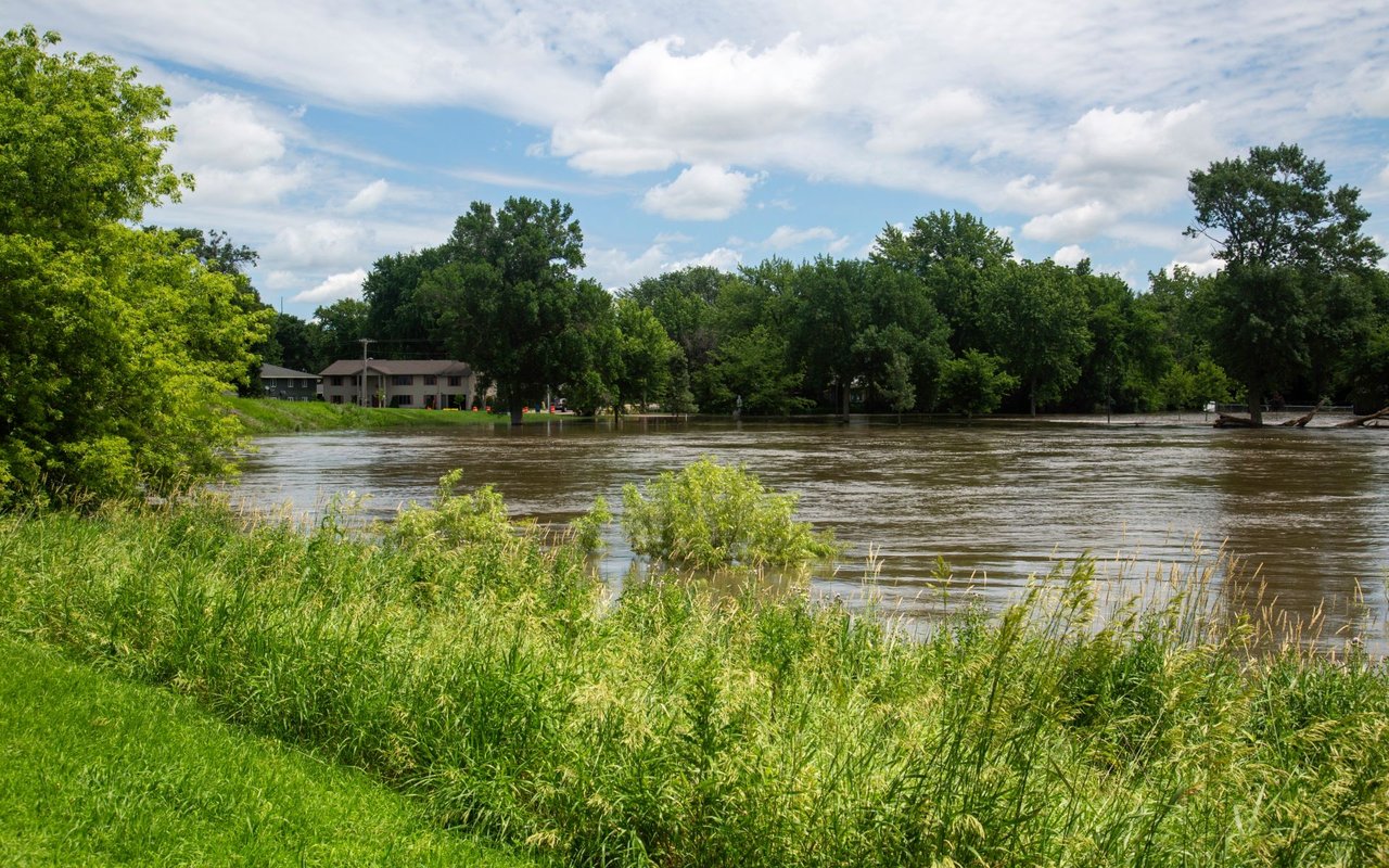 Windom