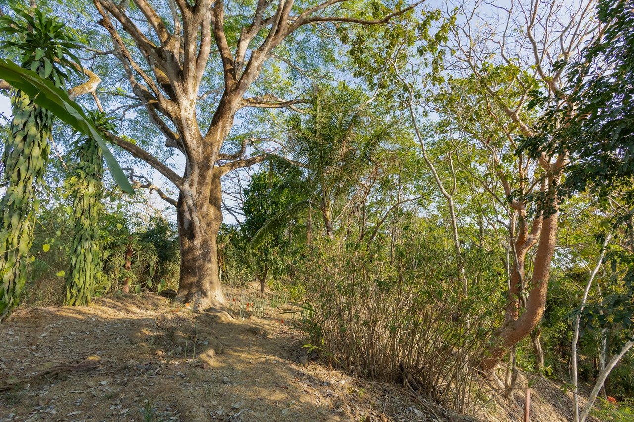 Exclusive Ocean View Development Homesite, Santa Teresa, Puntarenas