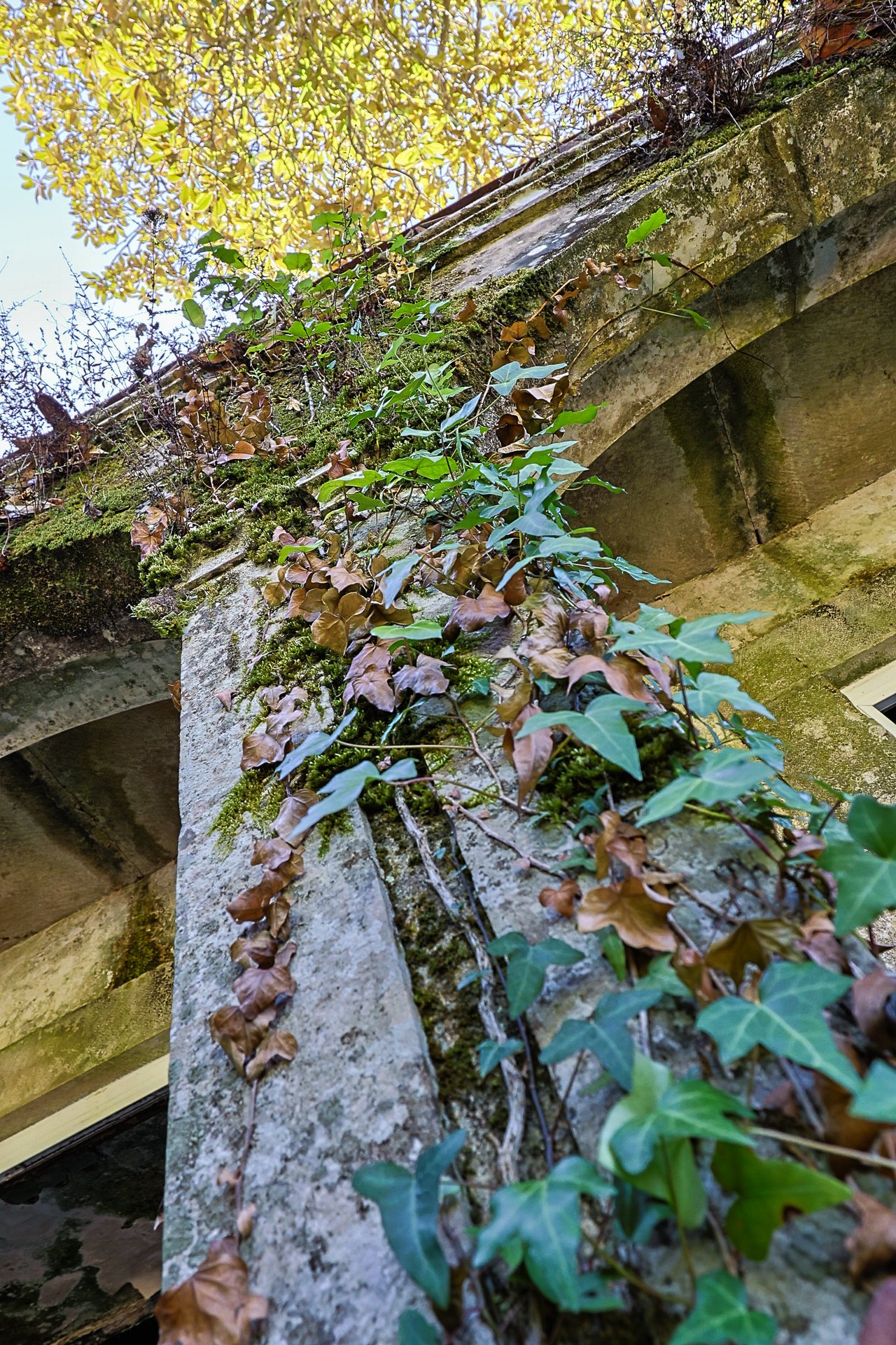 Villa Dégaud | Historic Palace with Approved Projects in the Heart of Sintra