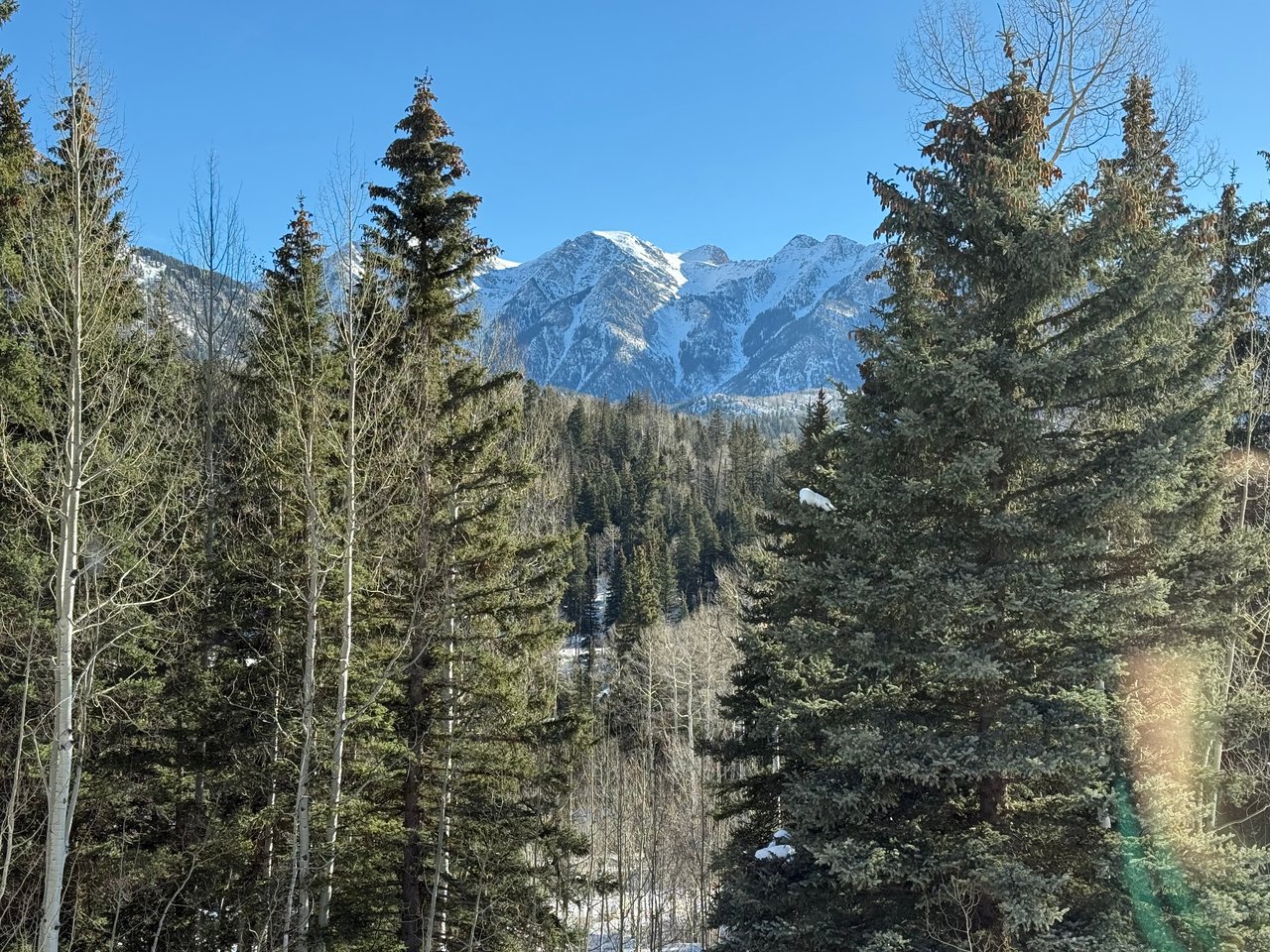 Snow-covered mountains rise behind evergreen forest and leafless aspens.