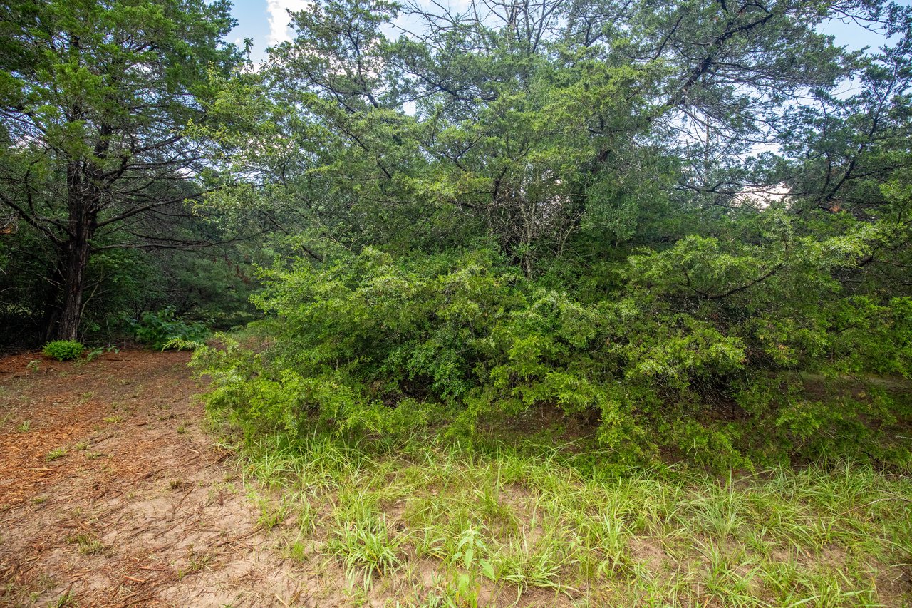 Post Oak Preserve | 18.115 ± Acres | Fayette County