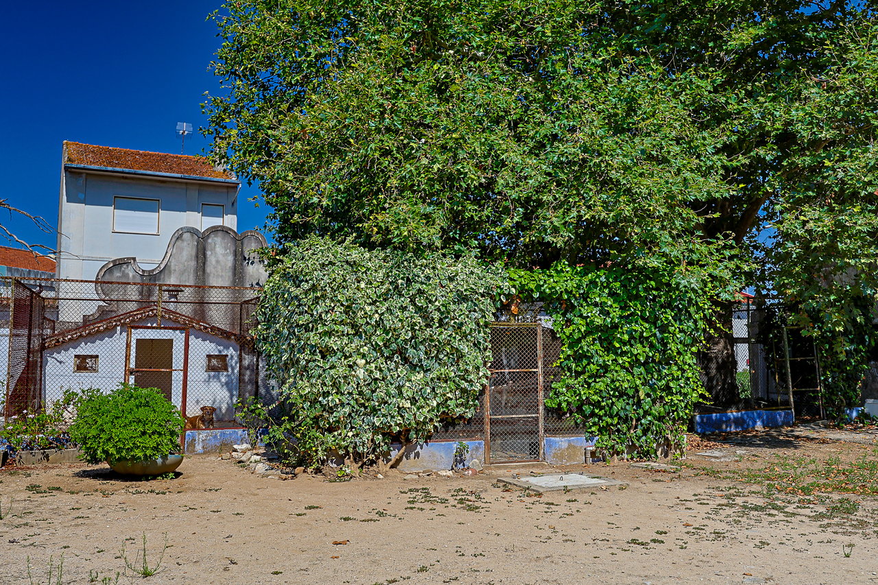 Magnificent 17th-Century Palace with  76,400 m² Estate Near Coimbra