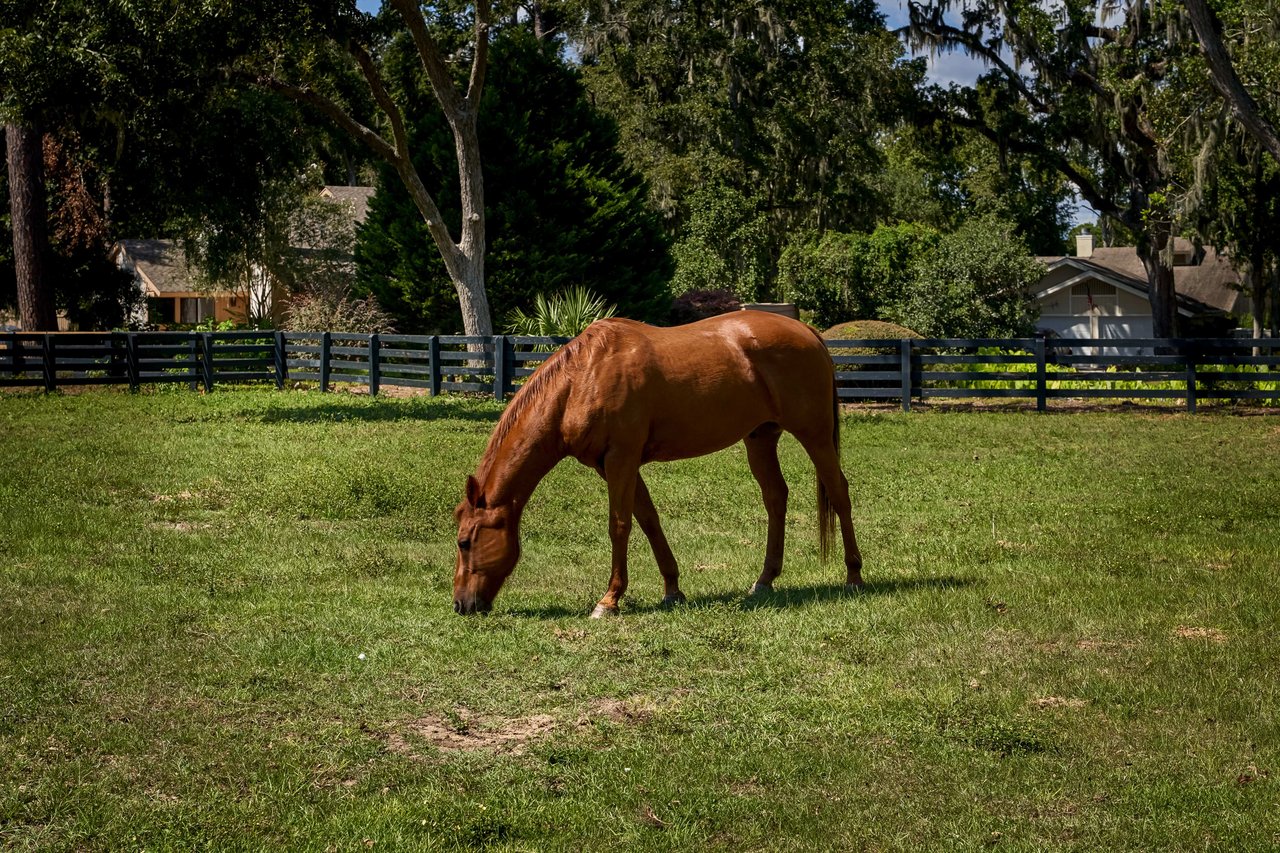 Moss Creek