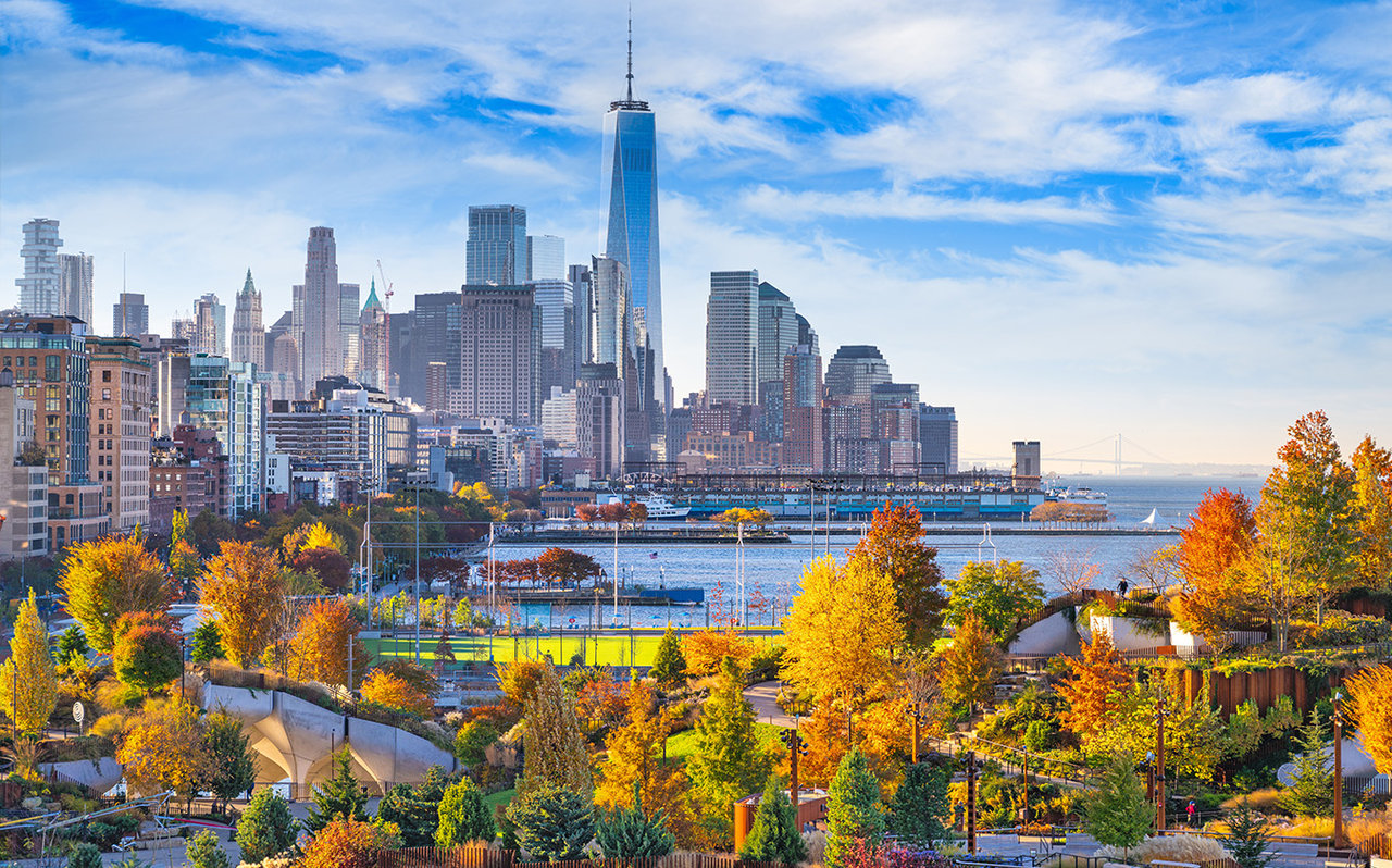 The Market Report: November 2025