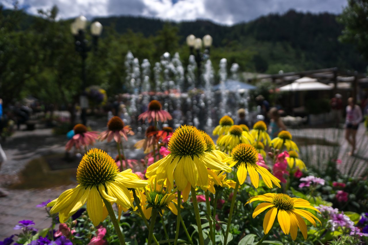 What's New in Aspen this Summer? 2026