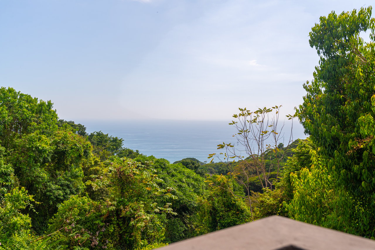 Ocean View Home in Escaleras with Guest House